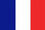 French_Flag_Small_Icon